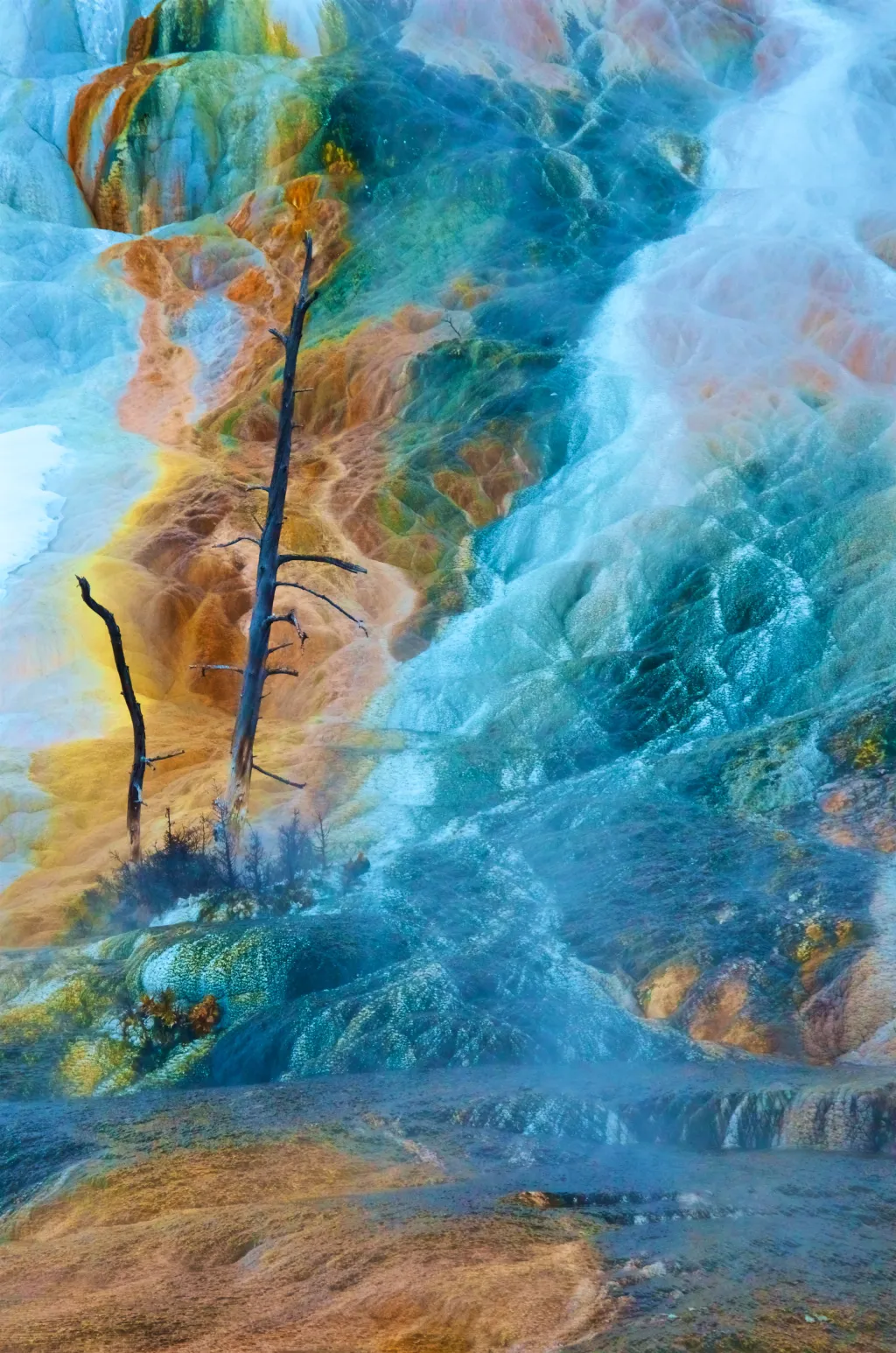 Thermal fine art photograph by Steve Toepp